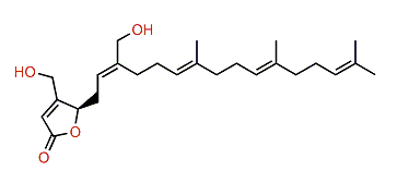 (S)-Hippolide E